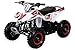 Produktbild Actionbikes Motors Kinder Miniquad Fox XTR 49 cc - Scheibenbremsen - Luftbereifung - Drosselbar (Weiß/Rot)
