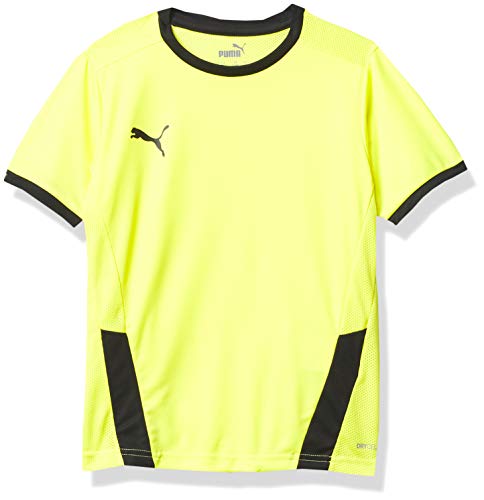Maillot Puma Teamgoal 23 enfant rouge taille L pour le football