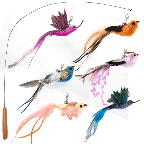 miwoowim Interactive Cat Toys for Indoor Cats - 35'' Steel Wire and 6PCS Feather Bird Refills,Teaser Toy,Cat Wand Toy,Feathers & Bells, Realistic Bird Impression (7 PCS)