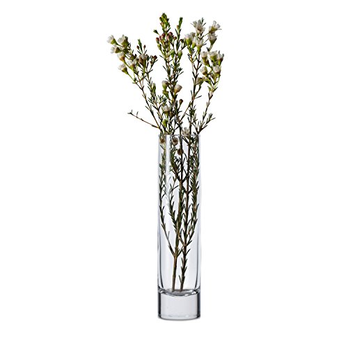 Libbey Cylinder Bud Vases, 7.5-inch, Set of 12