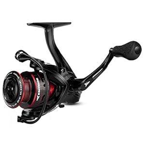 KastKing Royale Legend Fishing Reel – 5.2:1/6.2:1 Gear Ratio Spinning Reel, Up to 22 Lbs of Carbon Drag, 5+1/7+1 Stainless Steel Ball Bearings, Graphite Frame, Asymmetric Spinning Reel Rotor Design