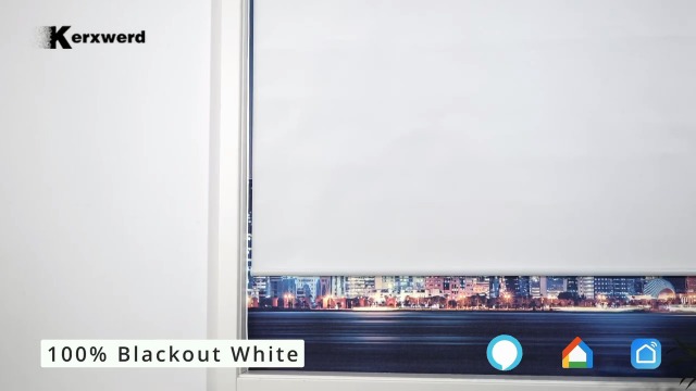 Amazon.com: Kerxwerd Motorized Blinds Compatible with Alexa Google