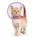 PETBABA Cat Cone Collar in Recovery, Clear Elizabethan Not Block Vision, Soft Padded E-Collar Protect Neck, Suitable Kitten Puppy Dog Pet in Surgery Remedy Grooming - S in Rose