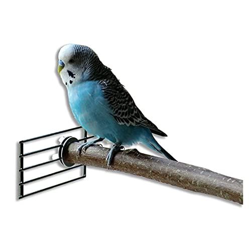 Vogelspeelgoed 10 stks Parrot Stand Rod Natural Wood Fork Paars Hanging Swing Pet Chewing Toys voor kleine parkieten… - Afbeelding 5