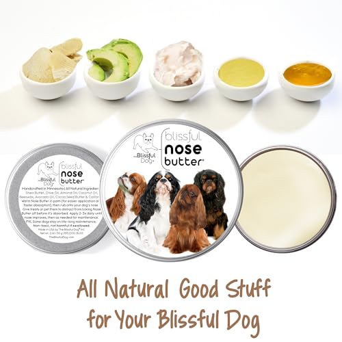 Image of The Blissful Dog English Toy Spaniel Unscented Nose Butter