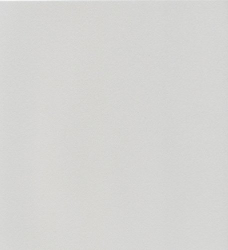 エスケント ケント紙 スターカラー 八切 パールグレイ 100枚 5723008