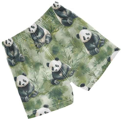 Pigsaly Boys' Swim Board Shorts Watercolor Black White Pandas Plants Green Grass Boy's Swim Trunks Kids Swimwear 5T2