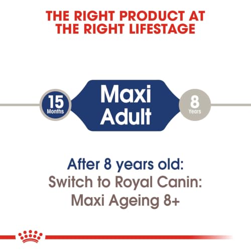 Image of Royal Canin Maxi Adult Dog Wet Food, Supports Digestive Health & Optimal Health, Pack of 30, 140 Grams
