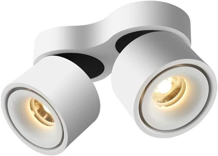 DKELTE Aplique Luz de montaje en pared ajustable Foco LED Focos de techo direccionales de metal Accesorio for sala de estar Cocina Isla Guardarropa Galería Tienda(White-4000k)
