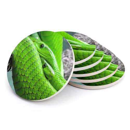Sous-verres ronds céramique python vert pour apéritif chic au salon - 2
