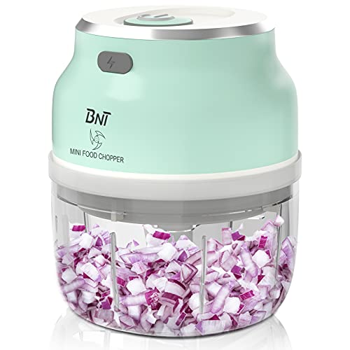Mini Chopper, 250ml BNT Garlic Chopper with Improved Assembly, Powerful Food Chopper with Four Blade for Garlic/Fruits/Vegetables/Onions/Nuts/Pepper/Ginger/Salad, Fast Chip Piece In Seconds