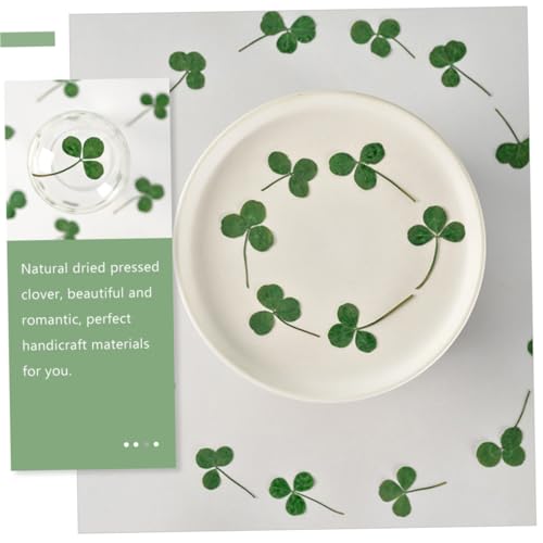 Hojas de trébol secas prensadas 24pcs para manualidades miniatura 3