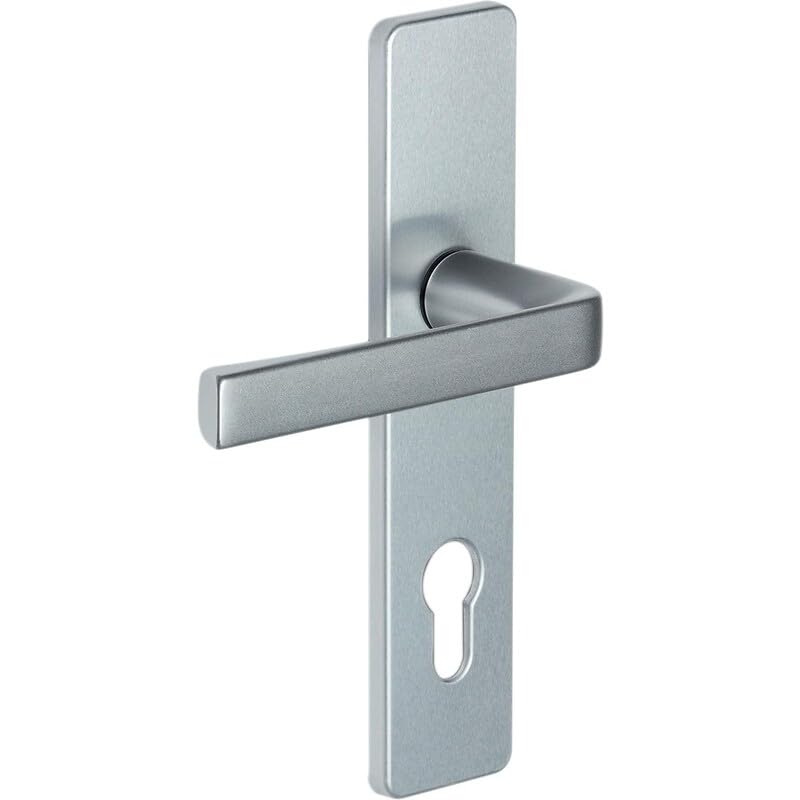 Vachette Kaza Door Handle Set on Plate, Key Version, Entrance Door/Cellar/Garden Shed with Cylinder, Spacing 165 mm