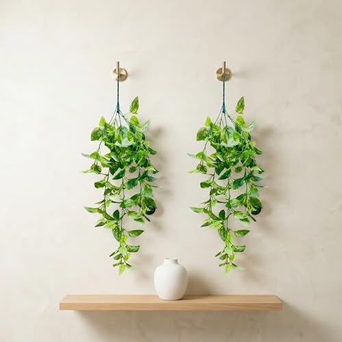 Image of Dekorly 2 Pack Artificial Plants Artificial Hanging Plants Faux Eucalyptus Leaf Greenery Fake Hanging Eucalyptus Plant (Green) (2, Green Money Plant Vines)