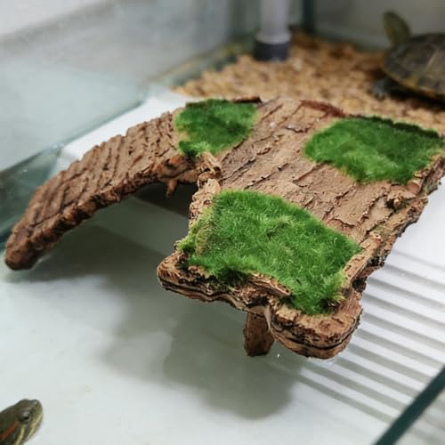 Turtle Basking Dock para terrario y plataforma de descanso diaria para tortugas 7