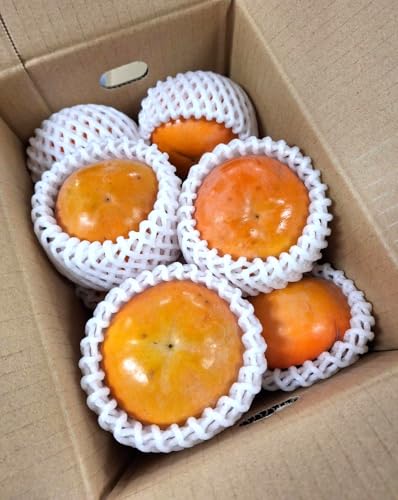 y_zJL a̎R IB̑傫H`i1350gOj2kgy①z