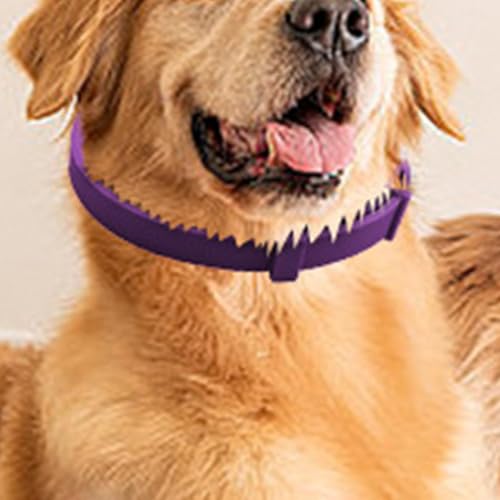 Beruhigendes Hundehalsband, Haustierhalsband zur Beruhigung | 4-teilige Langzeit-Entlastungshalsbänder mit einstellbarer Länge bis zur Trennung | Beruhigendes Zubehör für Jahr