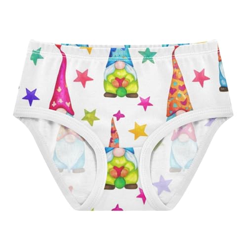 Toddler Girls Underwear 2t Cotton Panties Little Girl Durable Underpants Briefs Gnomes Stars Cute