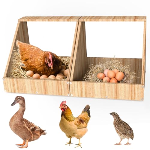 IDUNSEED Nids De Ponte Pour Poules,Lot De 2, 35,3 x 35,3 x 34,2 cm,Nichoirs Muraux Pour Poules,Créant Un Espace Sécurisé Pour La Collecte Des œufs,Accessoire En Bois Pour Poulailler,Oiseaux Et Canards