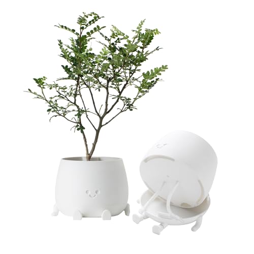 Image of TOPOLA Happy Face Planter, 5.2 Inches Plastic Plant Pot, Self Watering Plant Pot with Drainage Holes for Indoor Outdoor, Succulent Pot, Funny Flower Pot, White