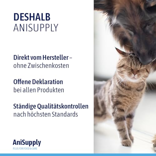 AniSupply Wurmkraut Liquid Tropfen flüssig 100ml – für Hunde & Katzen, mit echtem Wurmkraut (Artemisia Absinthium) in rezepturbasierter Pflanzenformel, geeignet für alle Haustiere
