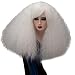 ELIM White Fluffy Cosplay Wigs Short Curly Wig Halloween Costume Wigs Synthetic Hair Oblique Bangs for Women with Wig Cap Z079P