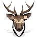 Paperraz Deer Head Paper Trophy Complete Craft Kit DIY 3D Building Puzzle Adults Low Poly Paper Animal Building kit