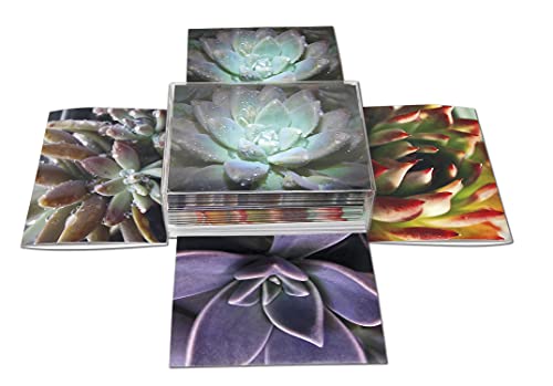 Succulent Greeting Cards - Multi-Purpose Note Cards - Blank On The Inside - Includes 12 Cards And Envelopes - 4 Unique Designs - 5.5" X 4.25" #TOP2
