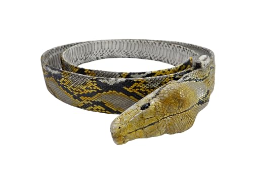 Genuine Python Snake Skin with Head Belt 46" Long2
