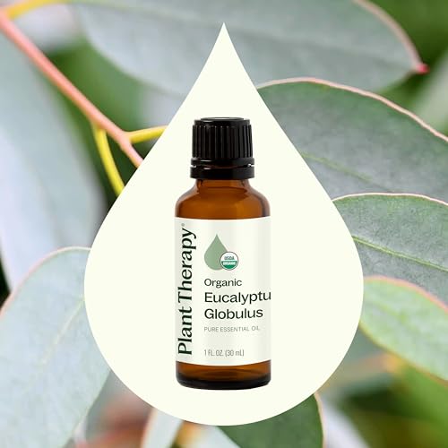 Plant Therapy Organic Eucalyptus Globulus Essential Oils 30 mL (1 oz), 100% Pure, USDA Certified Organic, Undiluted, Natural Aromatherapy for Respiratory Support & Focus - Image 4