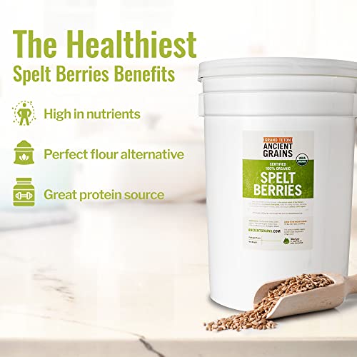 Organic Spelt Berries - 43 Lbs | Packaged In 6 Gallon Super Pail For Long-Term Storage | 100% Desiccant Free | Certified 100% Usda Organic #TOP3