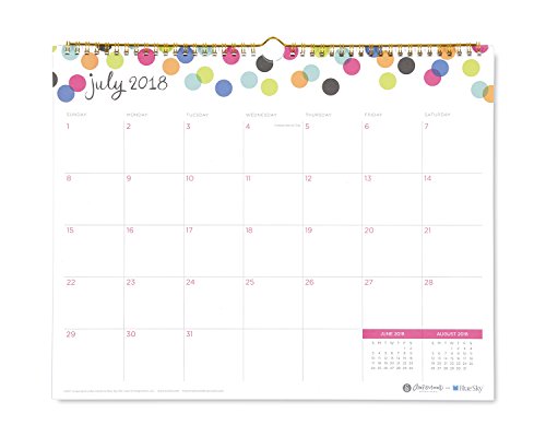 Ampersand for Blue Sky 2018-2019 Academic Year Monthly Wall Calendar, Twin-Wire Binding, 15