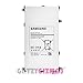 Samsung T4800E Internal Battery