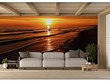 Oedim Fotomural Vinilo para Pared Puesta de Sol en la Orilla | Fotomural para Paredes | Mural | Vinilo Decorativo | Varias Medidas 150 x 100 cm | Decoración comedores, Salones, Habitaciones...