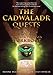 The Cadwaladr Quests (Book two: Race for the Gold): 11+ Vocabulary, Comprehension and Creative Writing Workbook