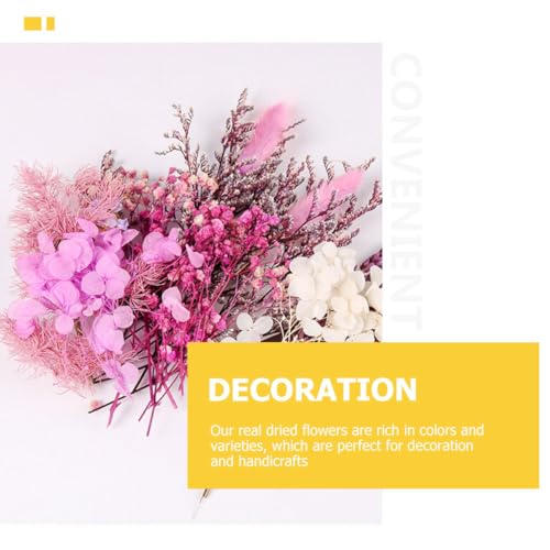 Kit de flores secas para manualidades y decoración miniatura 6