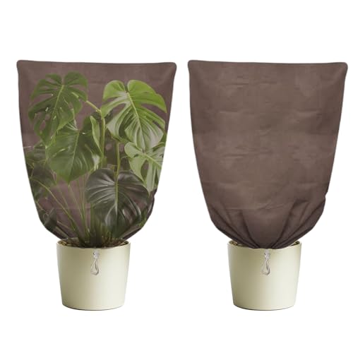 [Mwqpgyh] OpAhJo[ - ЂK[h | 2 ʋC sDz 悯NX OA,ʎ g}g o peBI | p