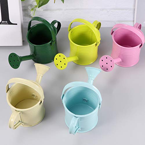 NICEXMAS 6Pcs Regador de Planta Com Aspersor Mini Flor de Jardim Indoor Outdoor Planta Regador de Fe
