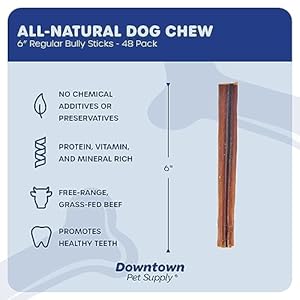 Downtown pet supply 6 inch bully sticks for dogs pack of 48  single ingredient nutrient rich and odor free bully sticks for dogs  rawhide free dog chews long lasting and non splintering   cucciolini doodles