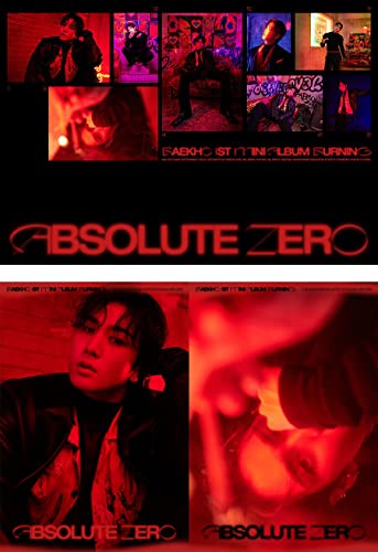 Album K-POP NU'EST BAEKHO ABSOLUTE ZERO CD Photo Set Complet Burning Melting Corée