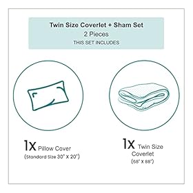 Ambesonne Pineapple Bedspread, Geometric Pineapple Bursting into Scattering Birds Flight Modern Abstract Print, Decorative Quilted 2 Piece Coverlet Set with Pillow Sham, Twin Size, Green Red 416h5vTkT+L. SS280