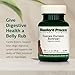 Standard Process Inc. Canine Enteric Support - Digestive System Support for Dogs - Nutritional Dog Supplement for Gut Health - Canine Supplement Formula to Aid Healthy Digestion - 30 g