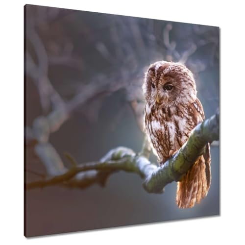 Peinture imprimée sur toile 70x70 cm hibou, le cadeau idéal pour décoration murale