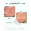 BRING GREEN Tea Tree CICA Facial Sun Cushion SPF 50+ PA++++ | Korean Mineral Sunscreen for Face | Non-Nano, Reef-Safe, Redness Correcting with Zinc Oxide | Travel Size Sun Protection