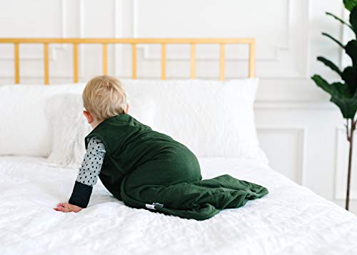 Image of Copper Pearl Baby Sleep Sack, Alder - Wearable Blanket for 6-12 Months, Sleeveless Sleep Sack for Baby Boy or Girl