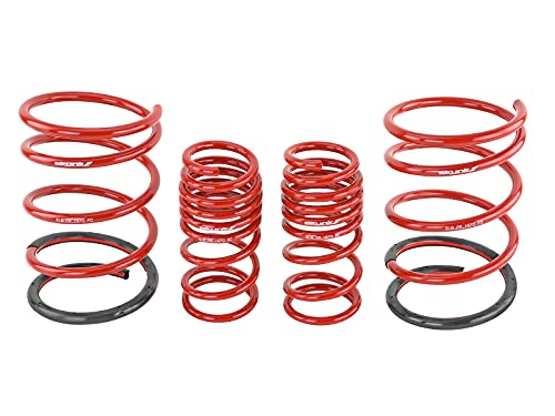 Skunk2 Lowering Springs for 2001-2005 Honda Civic | 519-05-1570 - Image 3