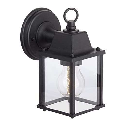 Brilliant 96186/06 Irvin - Lámpara de pared para exteriores (metal y cristal, 1 bombilla E27, 60 W), color negro