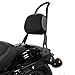 Sissy Bar Desmontable Craftride para Harley Davidson Sportster Baujahre 2004-2017: 883-1200 Custom,...