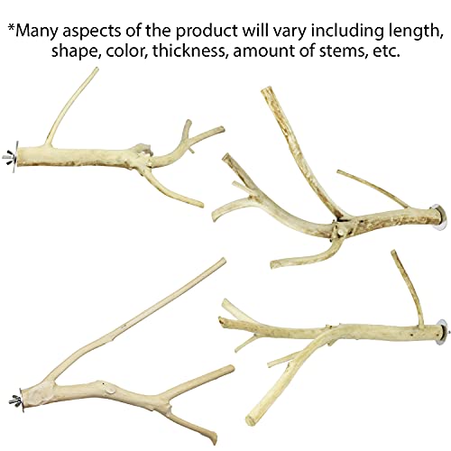image for Exotic Nutrition Multi-Branch Perch (Medium) - Durable Natural Climbin