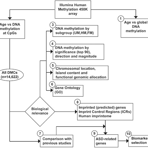 Age-Related Changes in Sperm DNA May Play a Role in Autism Risk cover art